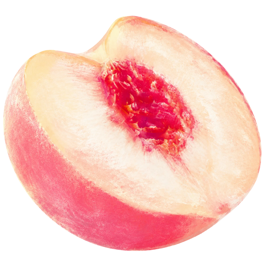 Fresh peach slice illustration