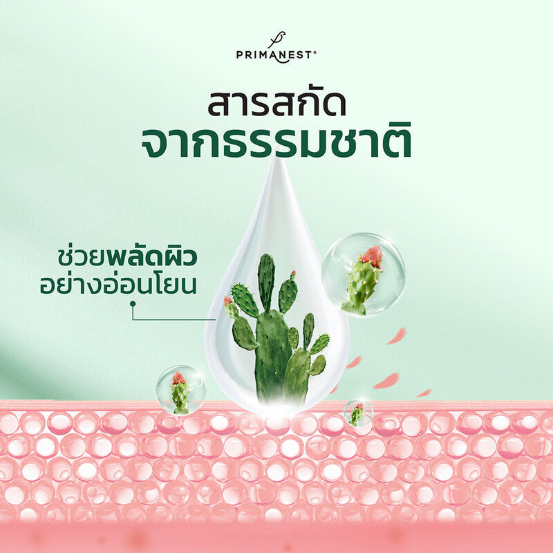 PRIMANEST Birdnest Luminis Anti-Melasma Cream 30g